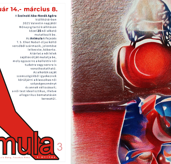 ANIMULA, SZolnok Aba-Novák Agora